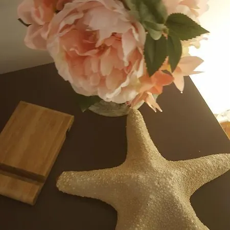 Guest house Bed+book. Pop Duomo View Prato (Prato)